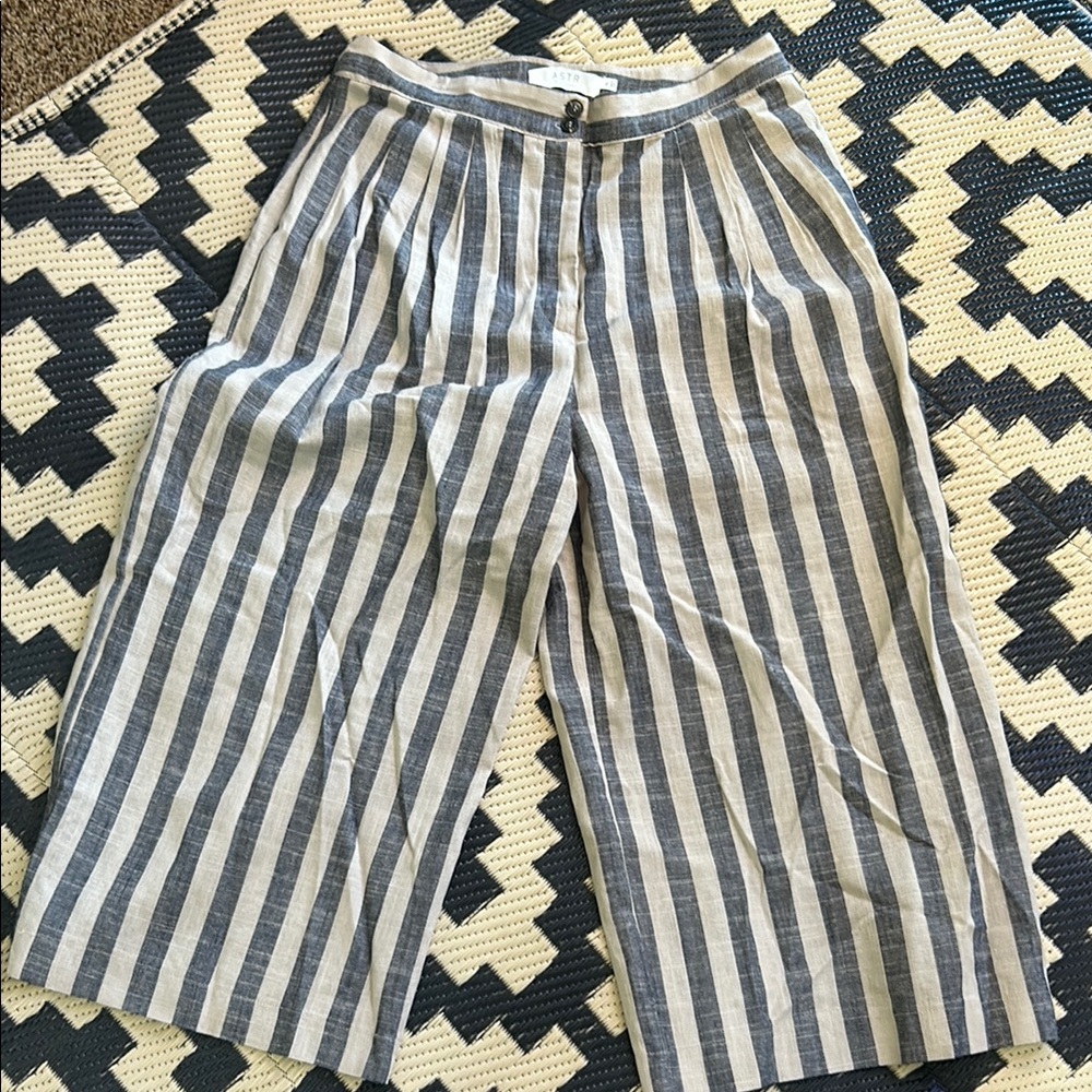 EUC Astr Striped Wide Leg Pants - Blue and Cream